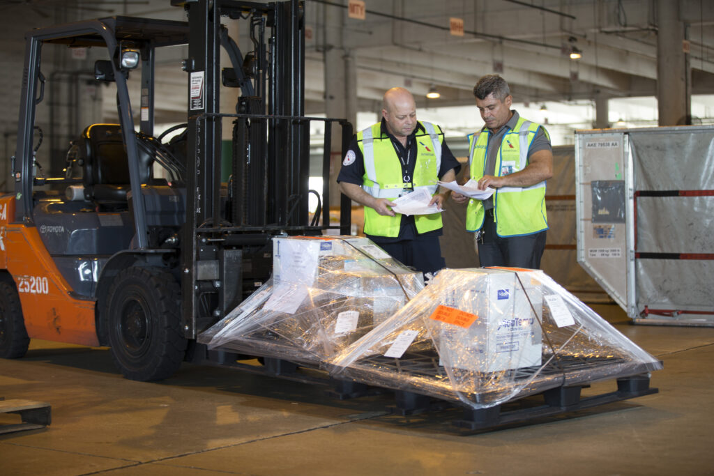 American Airlines cargo